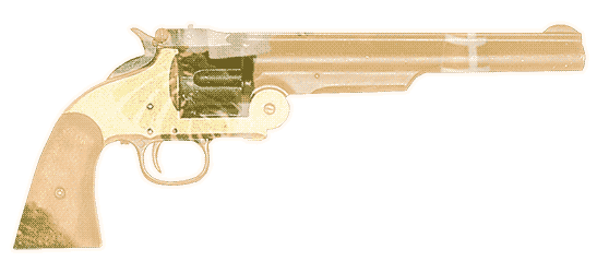tyler-gun-2